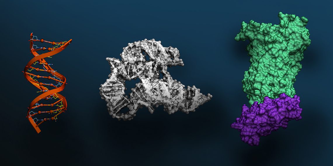 Evo 2: A Breakthrough AI Model for Biomolecular Sciences Now Available via NVIDIA BioNeMo