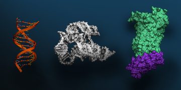 Evo 2: A Breakthrough AI Model for Biomolecular Sciences Now Available via NVIDIA BioNeMo