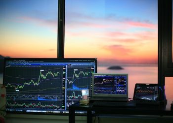 Top Gainers of the Global Trade Stock Market in 2025
